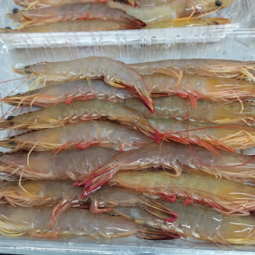北海对虾  深海明虾，采用鲜活深海明虾为原料，每袋400g，11—12条