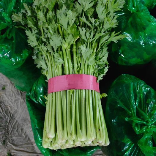芹菜 西芹 山芹 法国皇后 产地直发 全国代销代发货