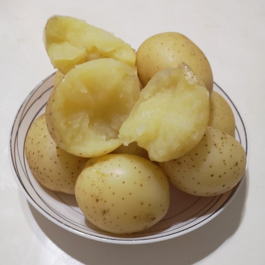 定边县黄心土豆，电商平台专用，老百姓的口粮。
