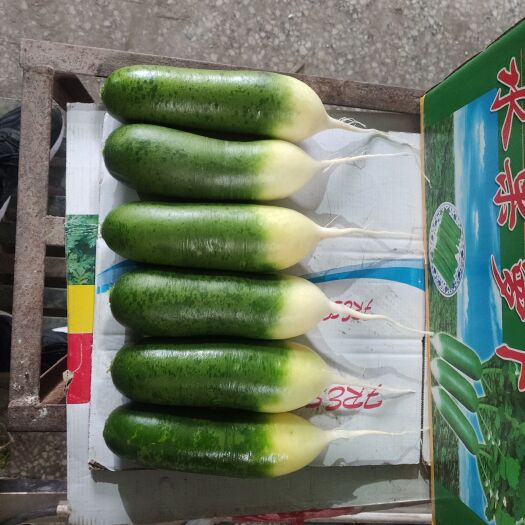 青州市水果萝卜