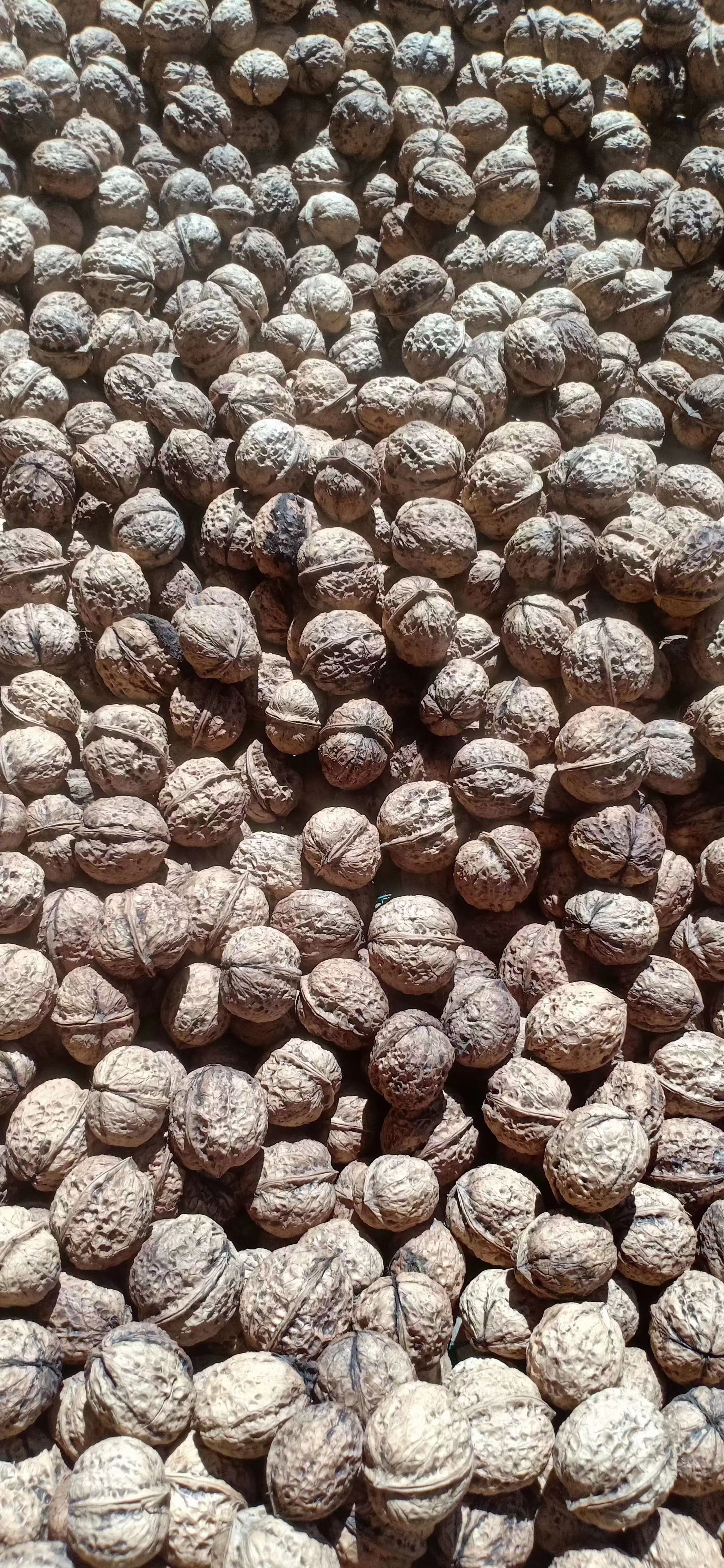  优质核桃油，核桃油