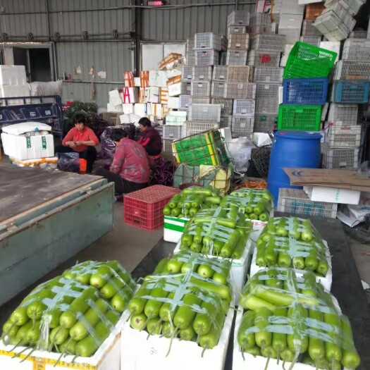 永春县 自家种的瓠瓜，泡椒，有需要吗？