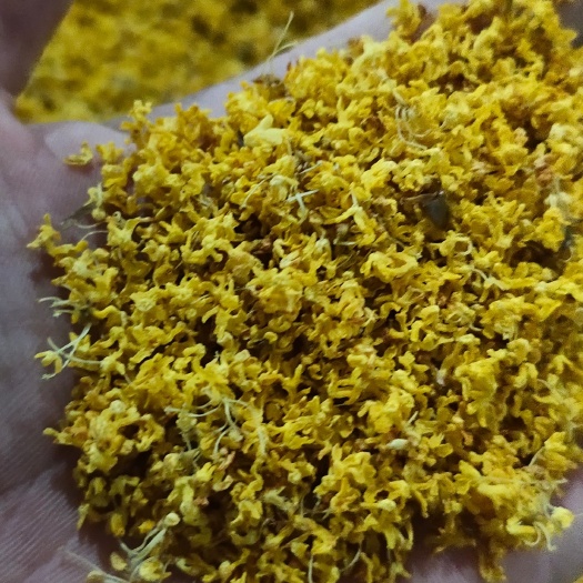 阳朔县桂花瓣  干桂花