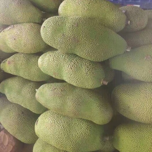 万宁市菠萝蜜