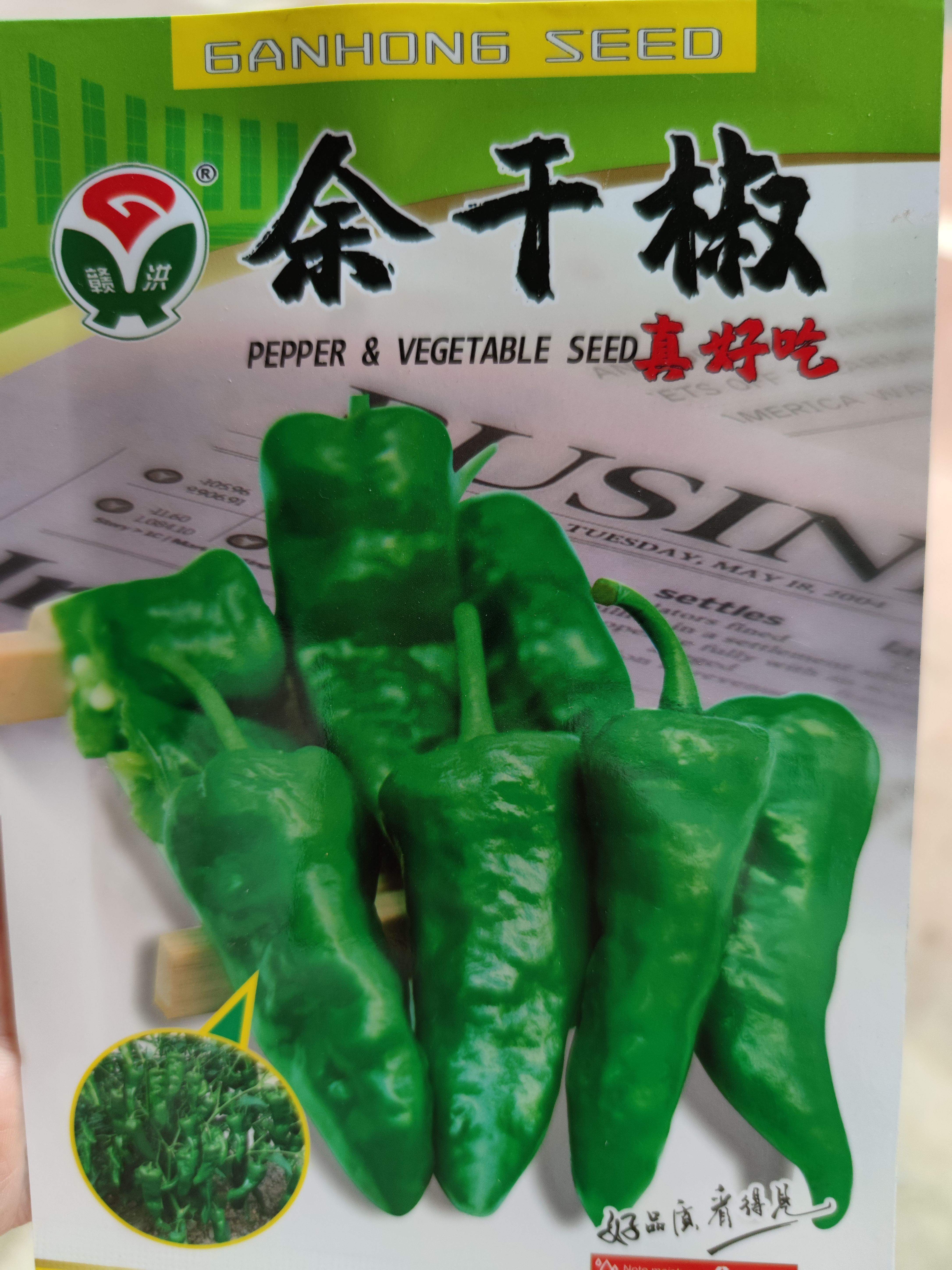羊角椒种子  余干辣椒种子枫树辣椒种子丰收辣椒种子，皮薄、肉