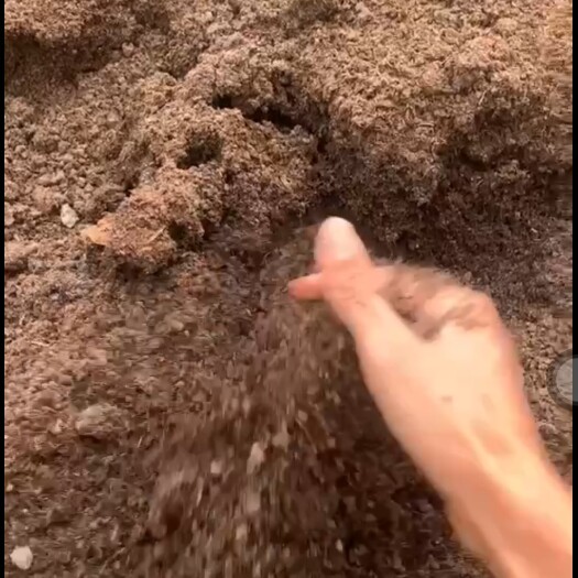 南平牛粪含水量45%左右