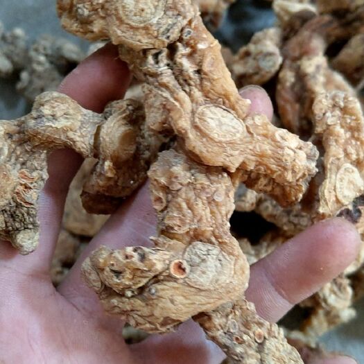 绥宁县黄精  甜干货