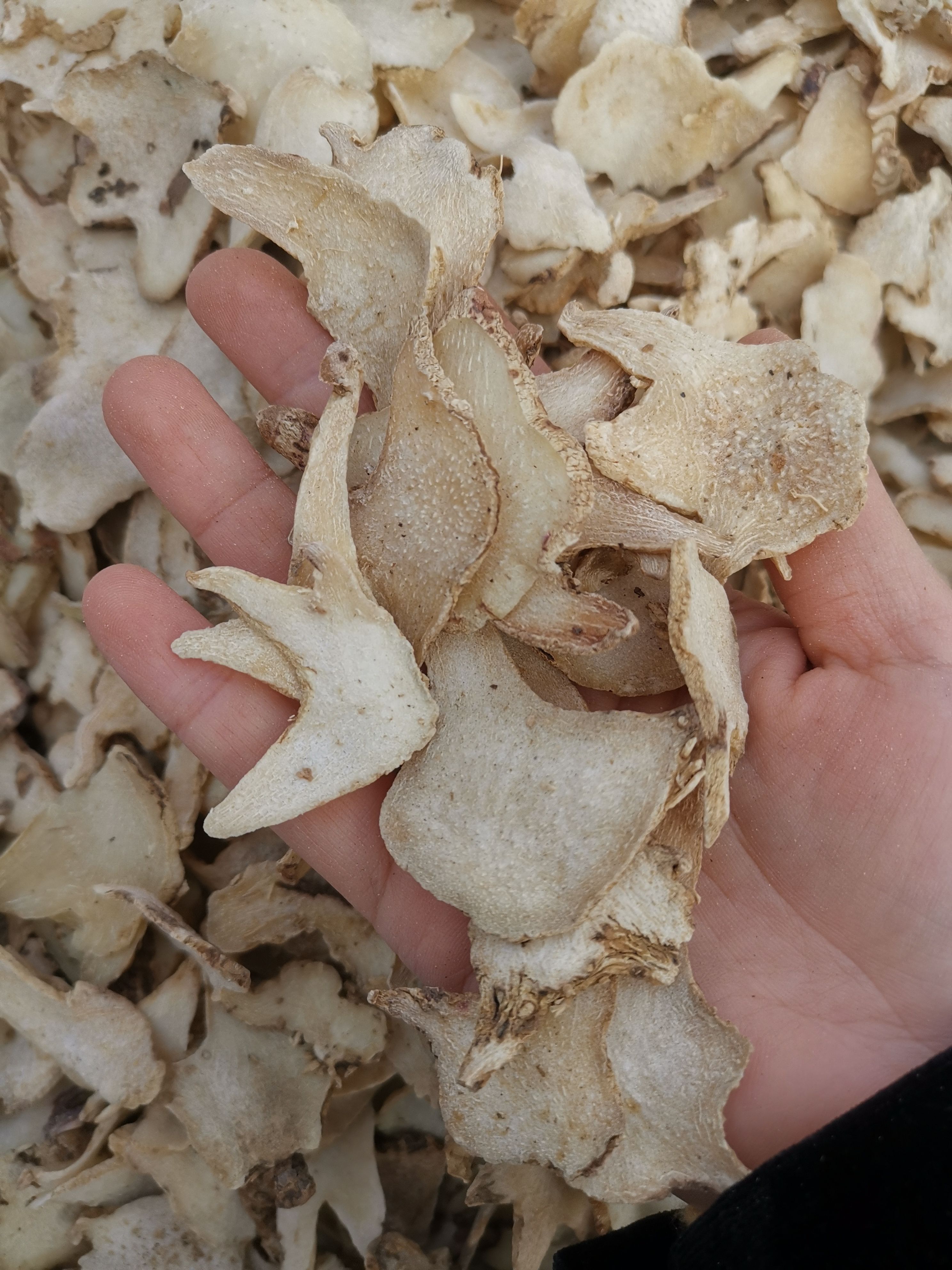白及  白芨 正品无硫白芨全杆货 规格齐全产地直销 可供批发