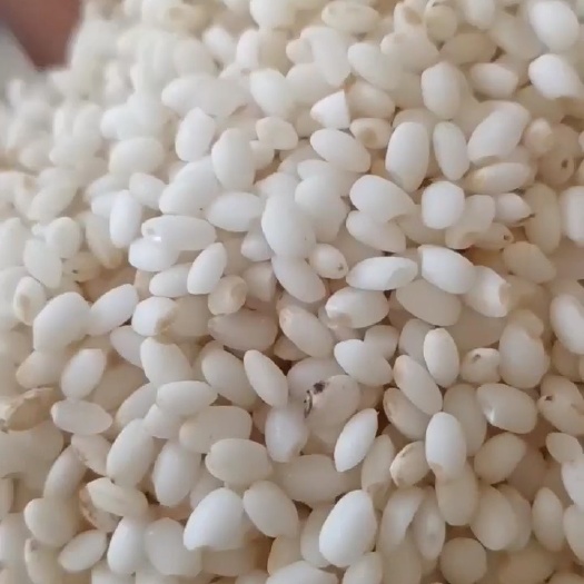 饶河县粳糯米变白好