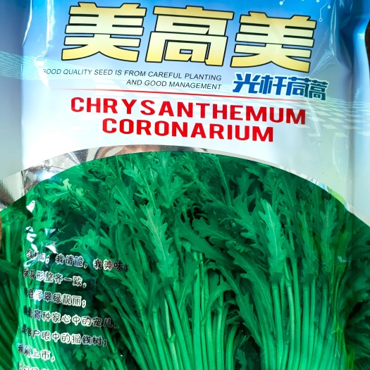 聊城光杆茼蒿种子   美高美光杆茼蒿色泽翠绿 高产皇帝菜适合阳台