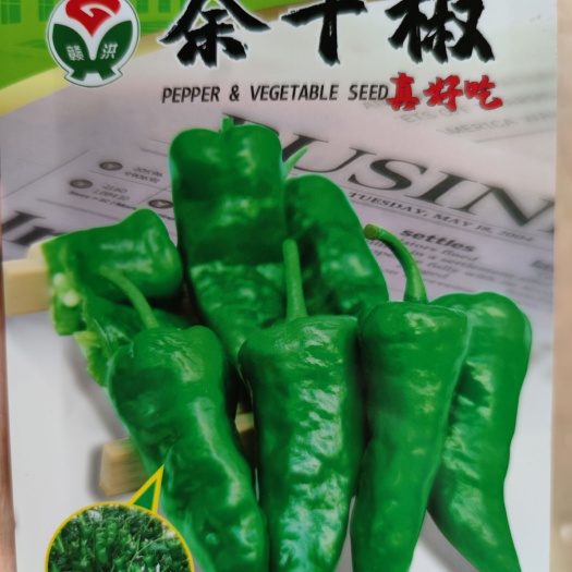 南昌羊角椒种子  余干辣椒种子枫树辣椒种子丰收辣椒种子，皮薄、肉