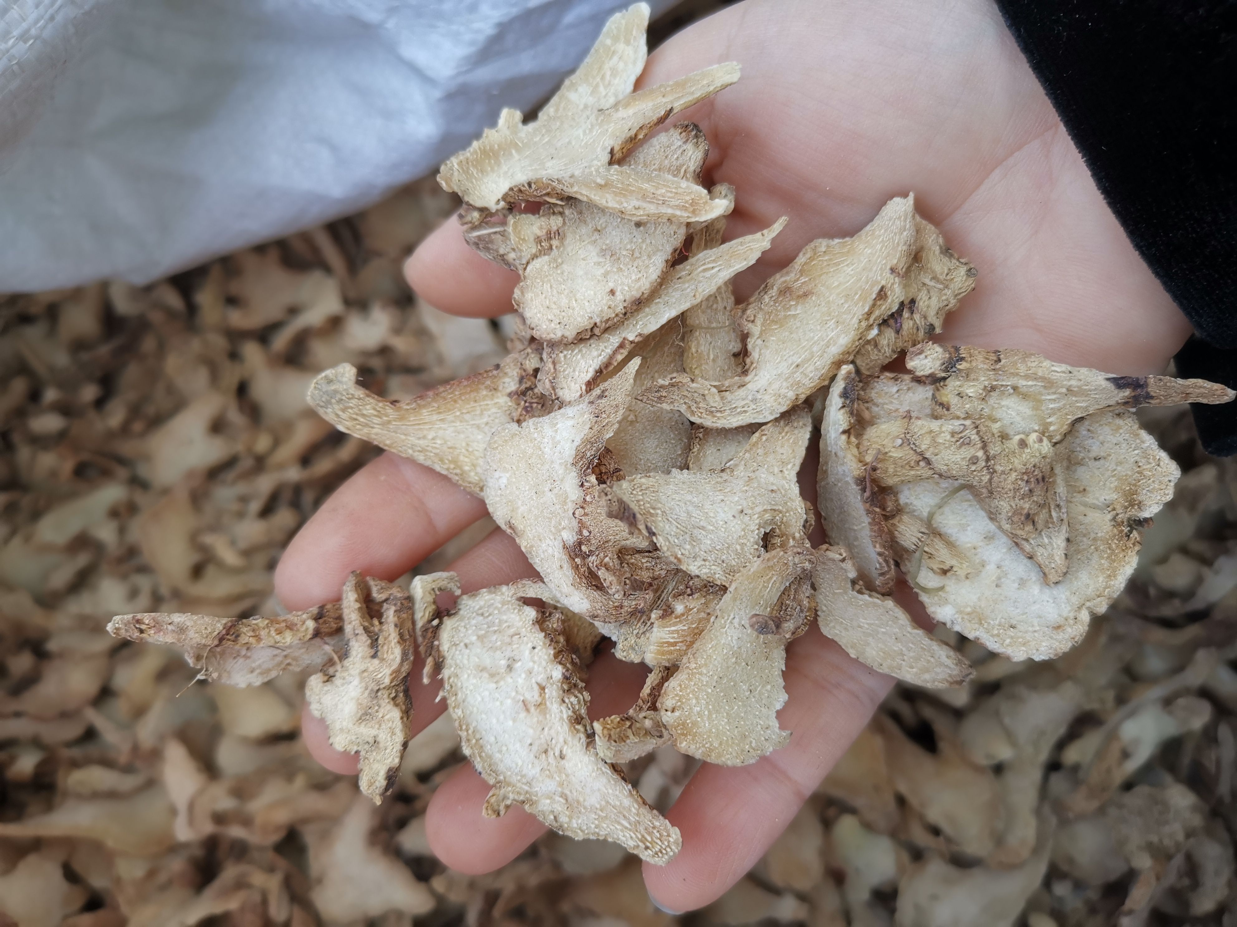 白及  白芨 正品无硫白芨全杆货 规格齐全产地直销 可供批发