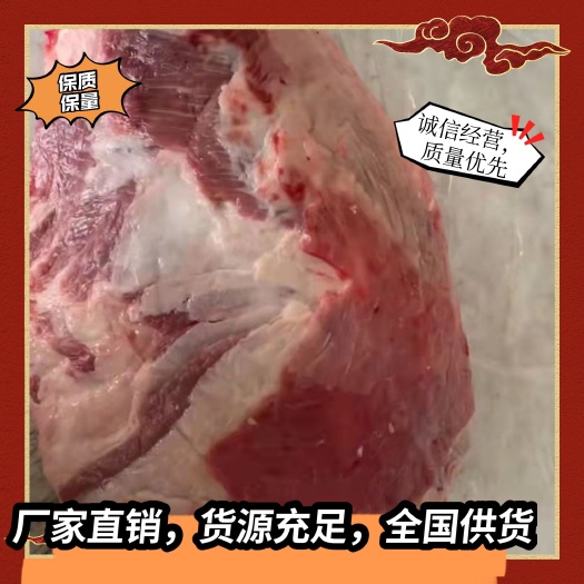阳信县羔羊排