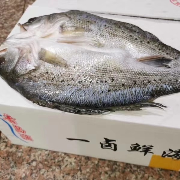 一卤鲜开背海鲈鱼 去麟去鳃去内脏 精汤腌制而成