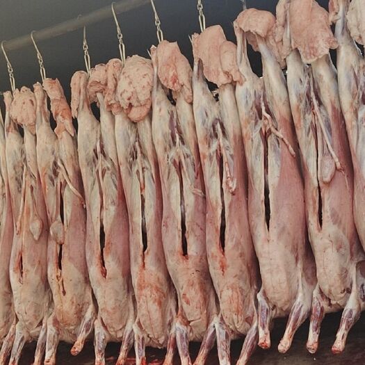  纯干无水羔羊肉