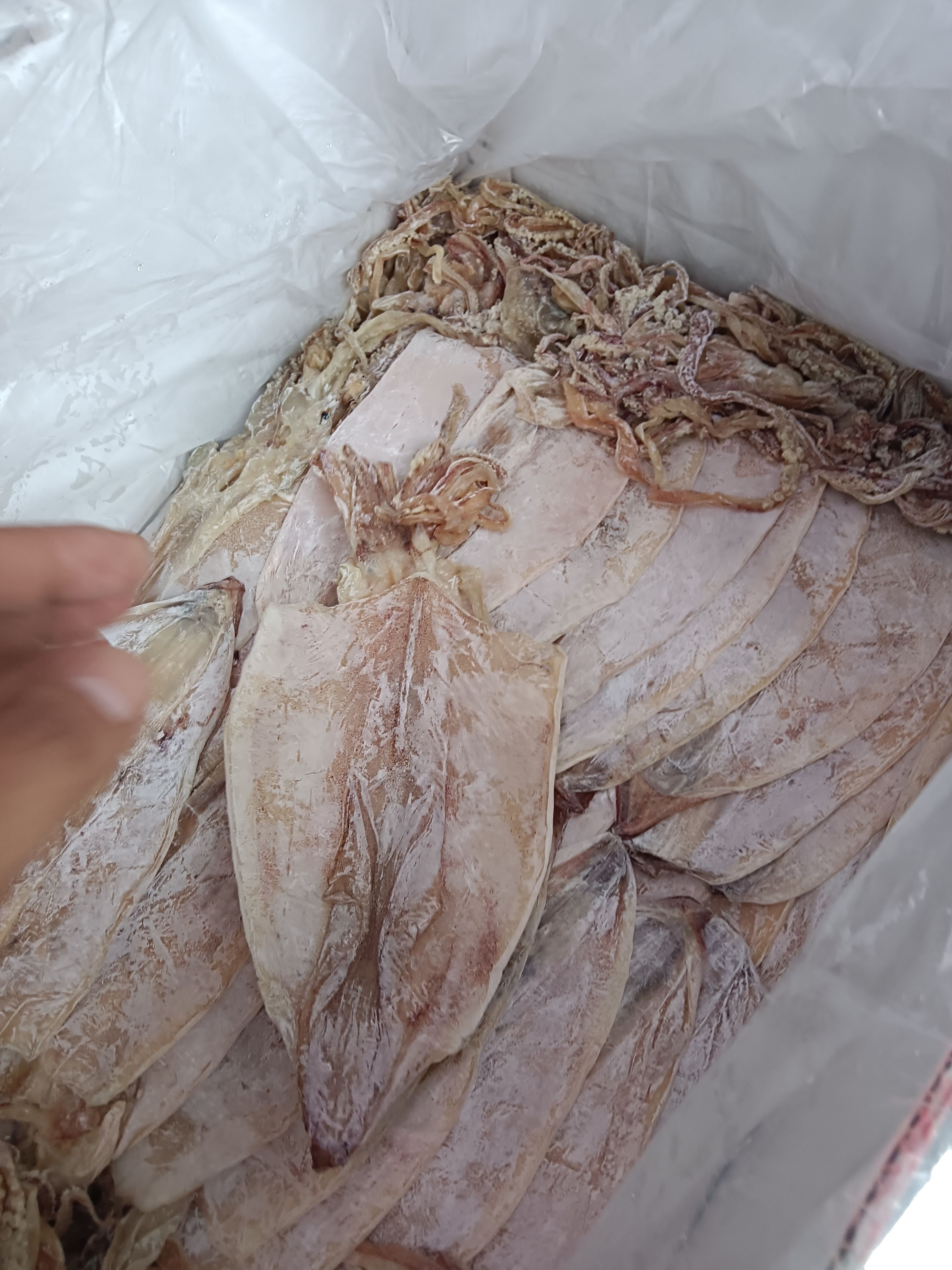  碳烤鱿鱼