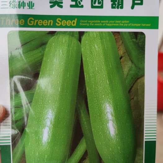 北京美玉西葫芦种子，瓜色嫩绿，色泽亮丽，耐储运，抗病毒