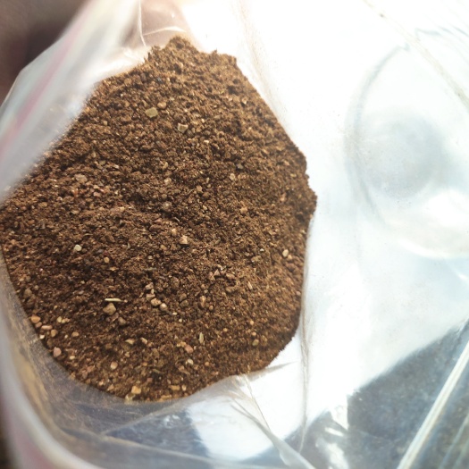 正定县饲料枣粉 烘干细红枣粉，含枣80%