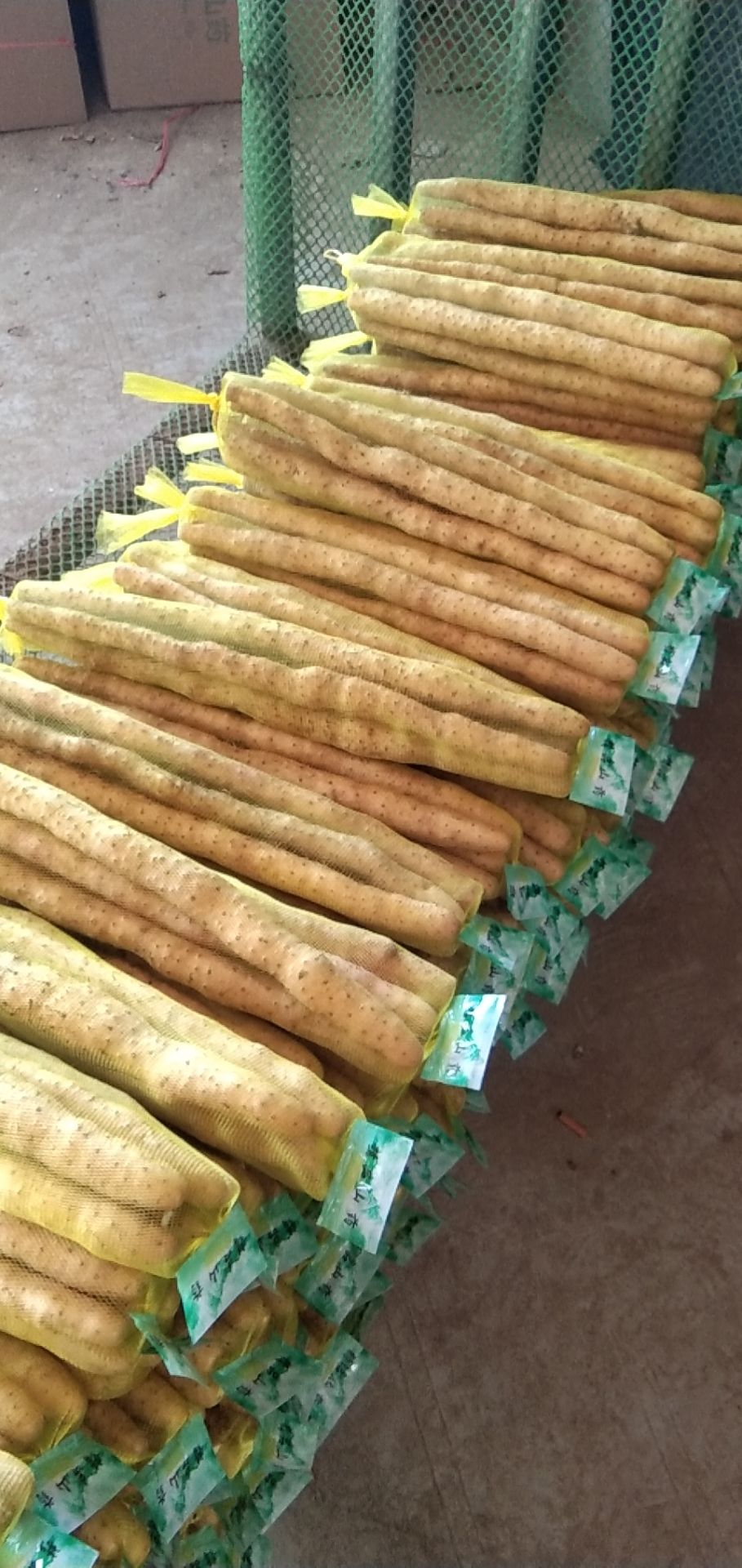 新鲜小白嘴山药 直供 精选优质根茎蔬菜