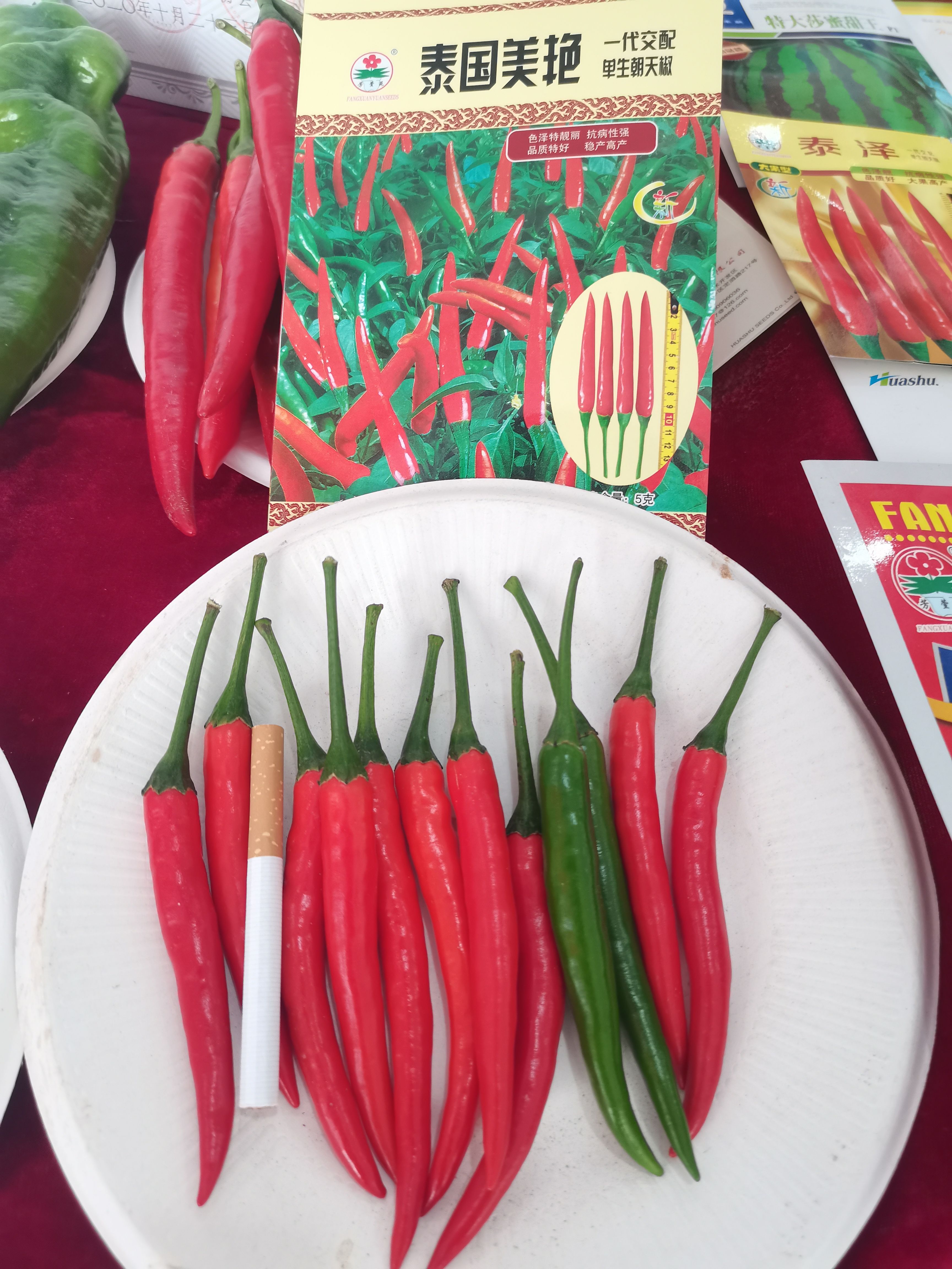 高产抗病大果型艳红辣椒/朝天椒种子–泰国美艳