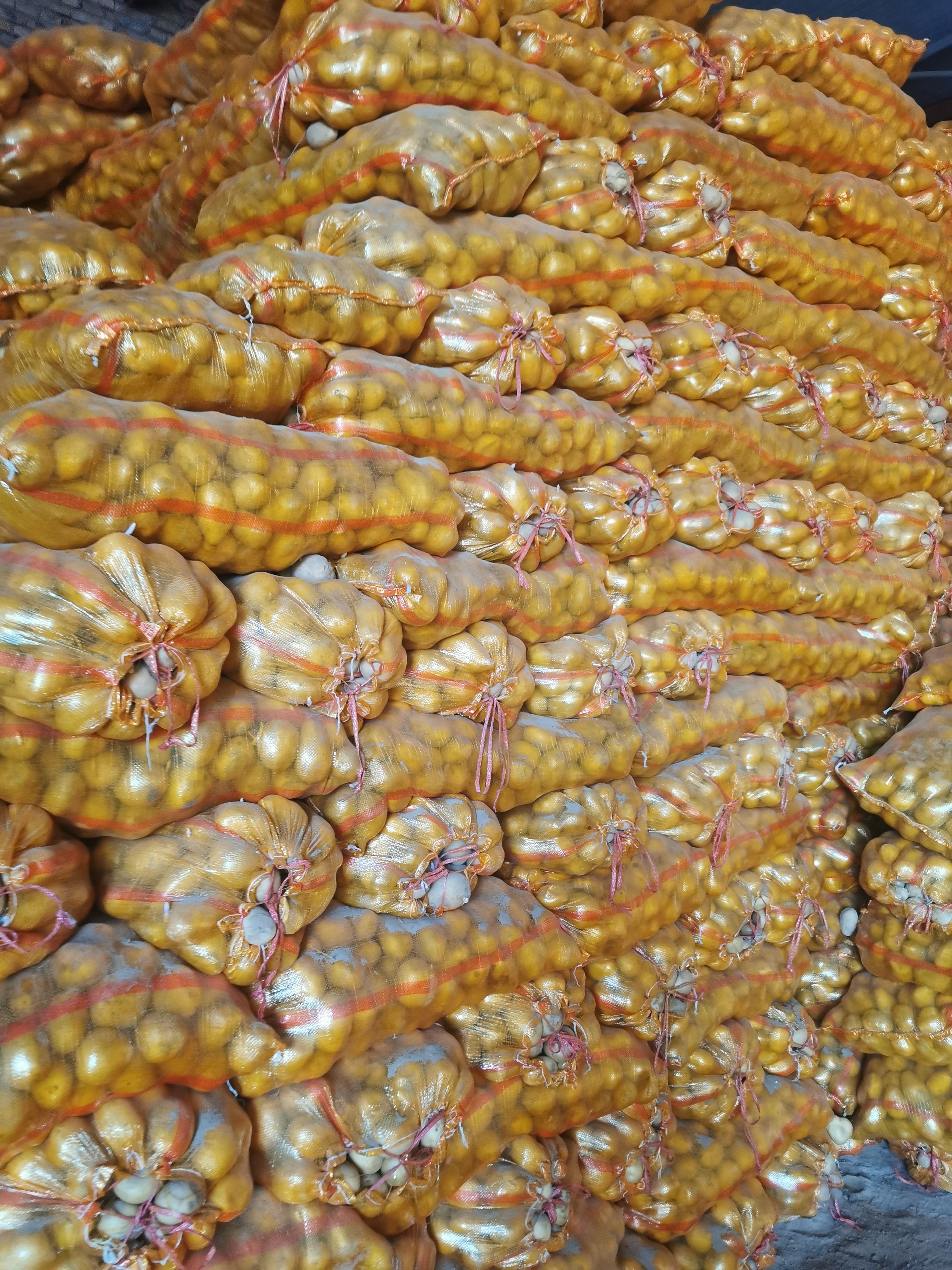 土豆 2-4量黄心土豆，纯沙地优质货品，大量有货热销中