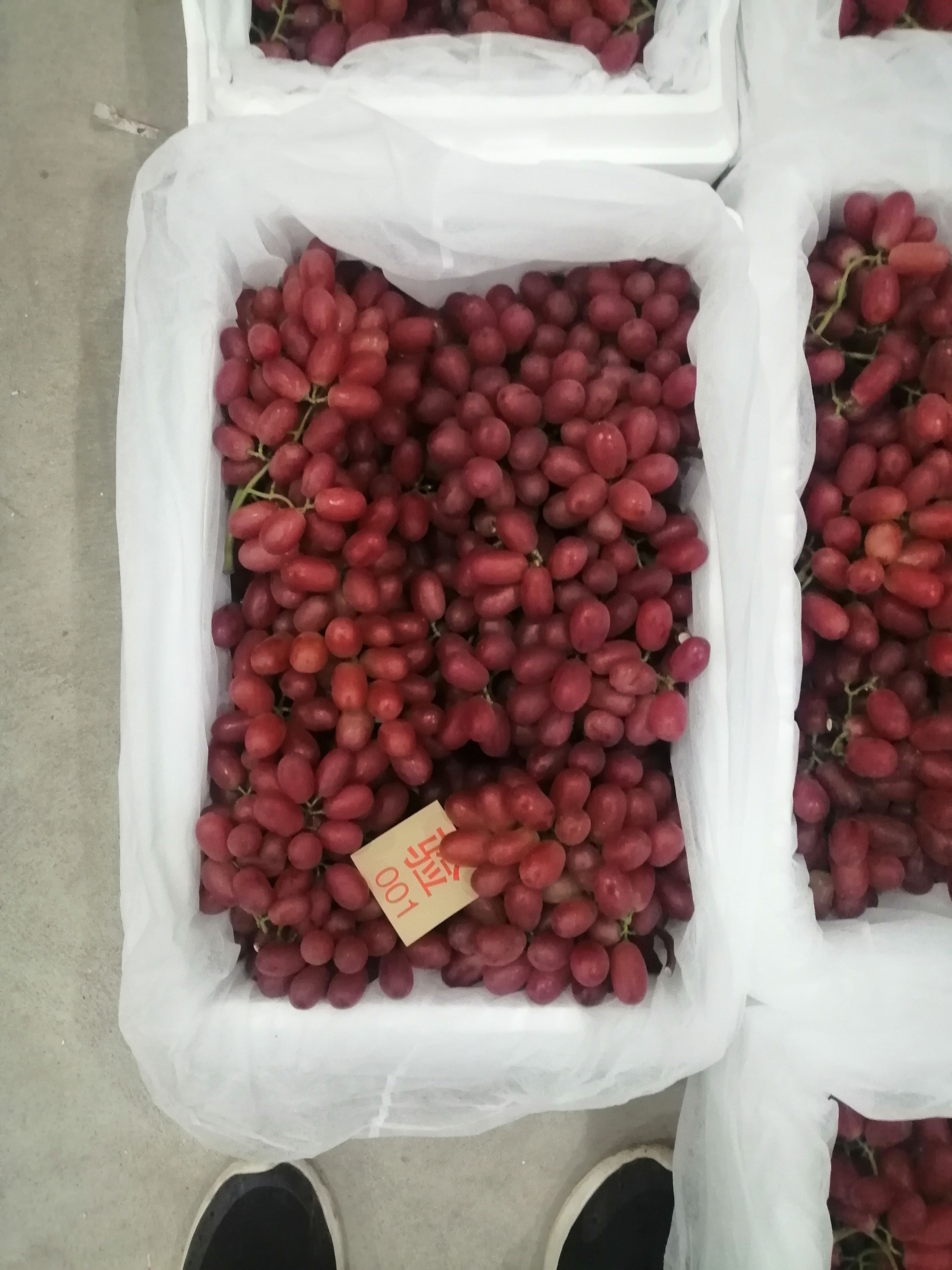 克伦生葡萄 颜色好，颗粒大，口感脆甜。