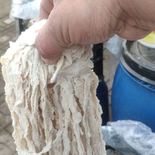 顺平县香肠/腊肠  肠衣，腊肠，香肠，风干肠，做70斤肠六路到九路