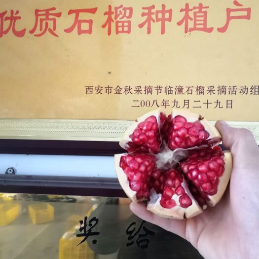 西安临潼特产石榴 精品大果 十二个装 快递包邮 十斤装