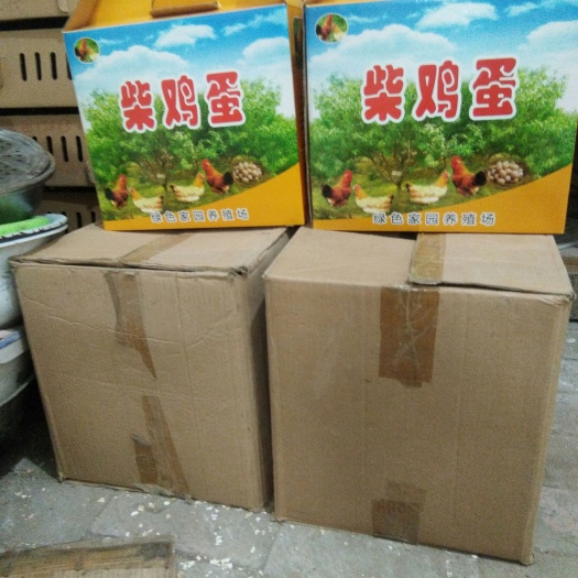 内黄县土鸡蛋 精品散养笨鸡蛋