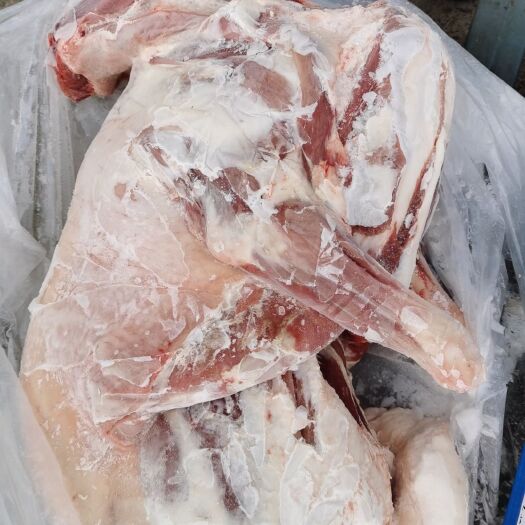 羊肉  锡盟草地烧烤小全羊11公斤左右，烧烤店食材，全国接单
