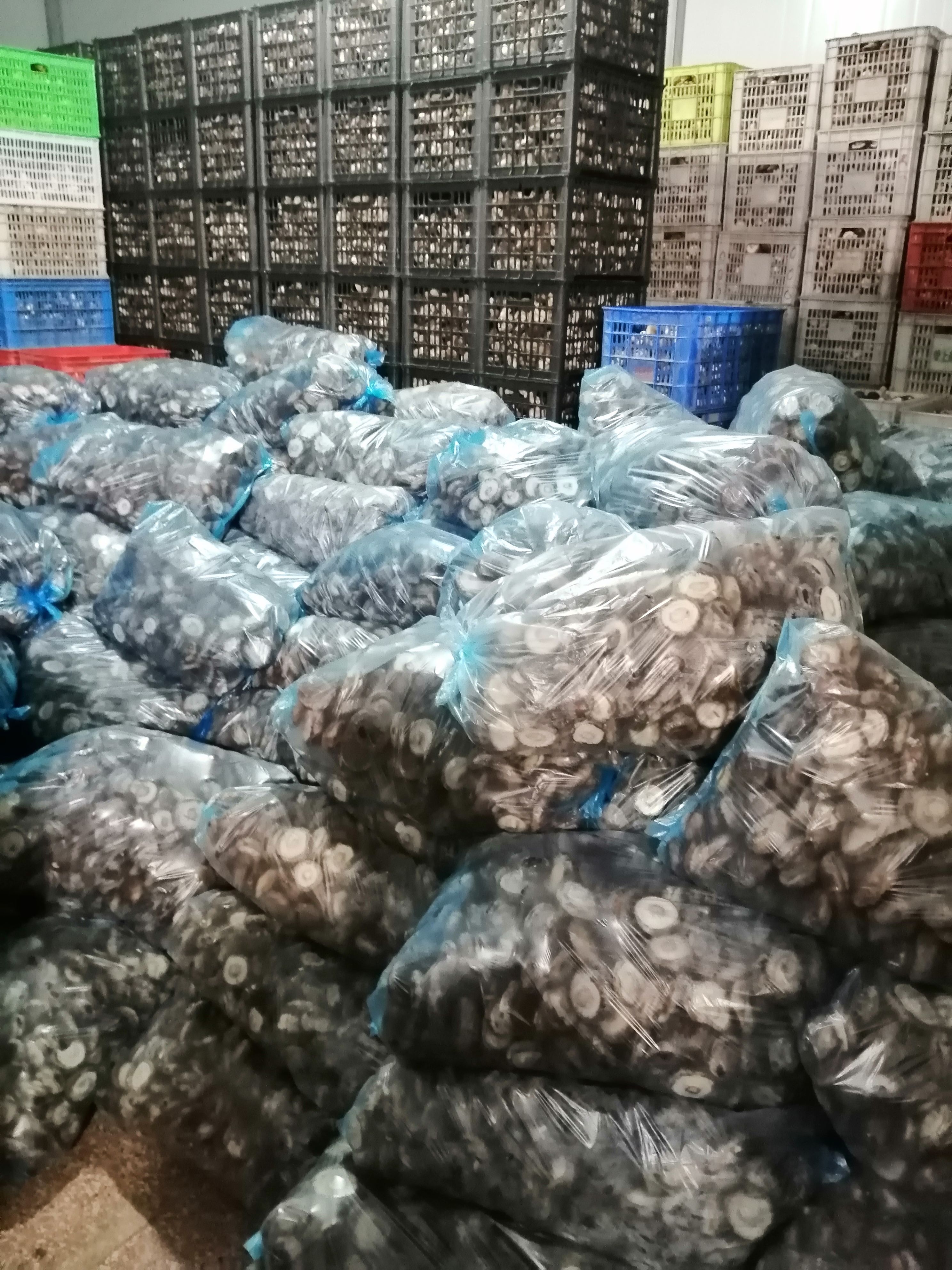 黑面菇  河北遵化赶大集电商平台鲜香菇产地直发