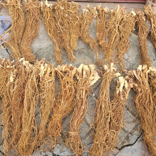 广州五指毛桃 干货 长条 无硫