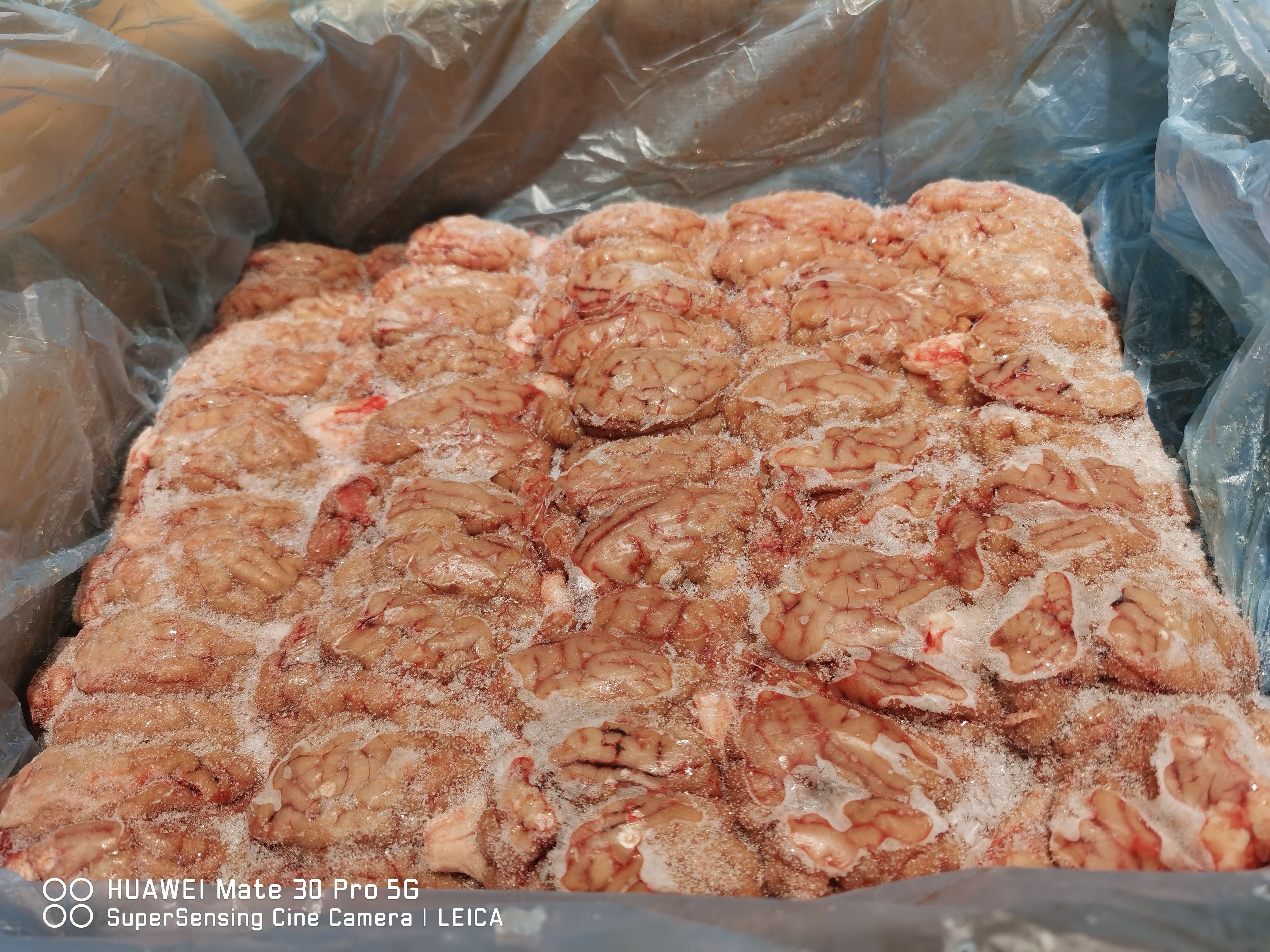  鲜冻猪脑花。解冻不散96个装。