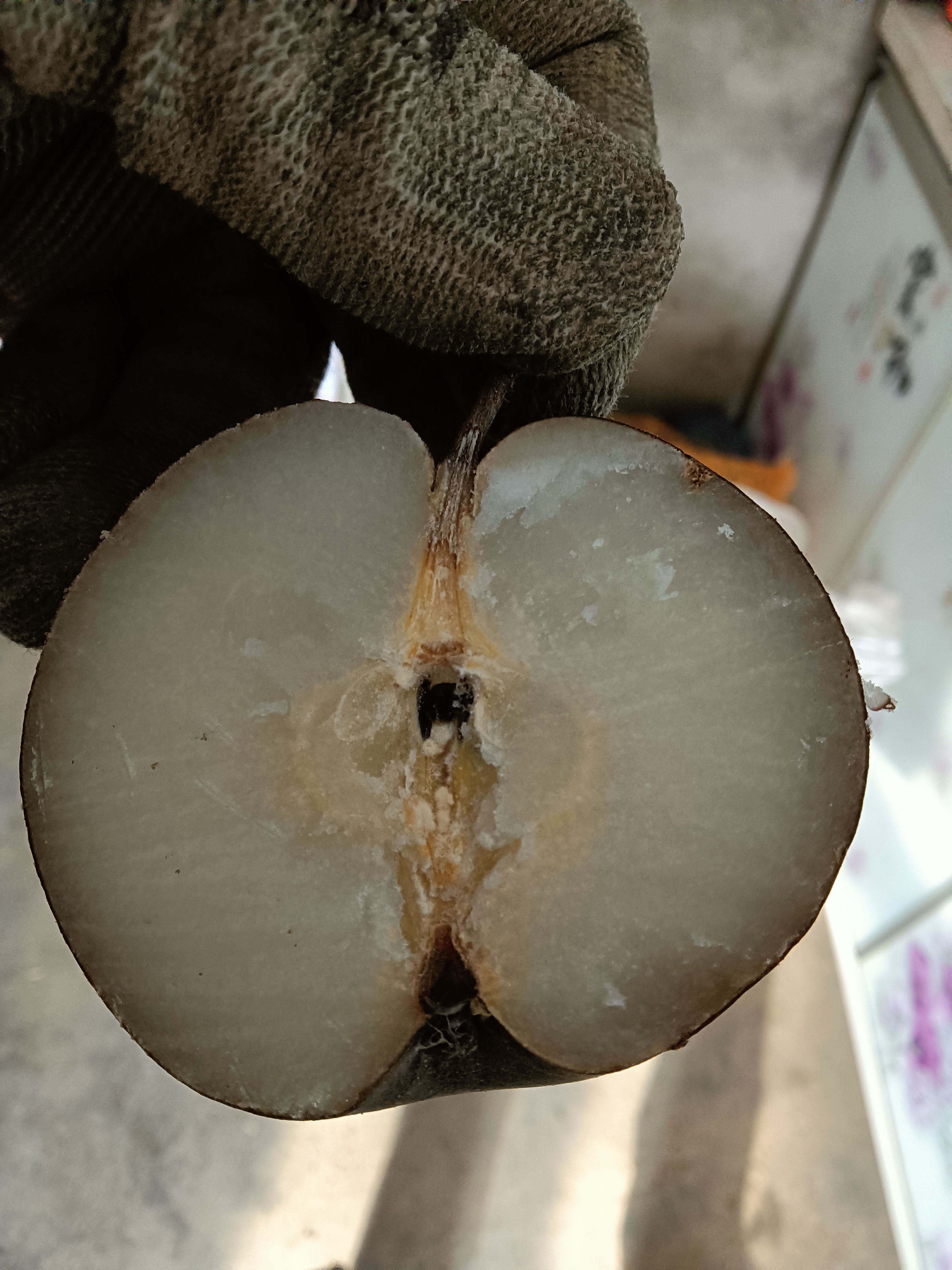 苹果梨冻梨三两三到四两四