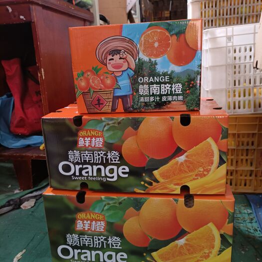 寻乌县 赣南脐橙原产地供应5斤10斤20斤精品包装