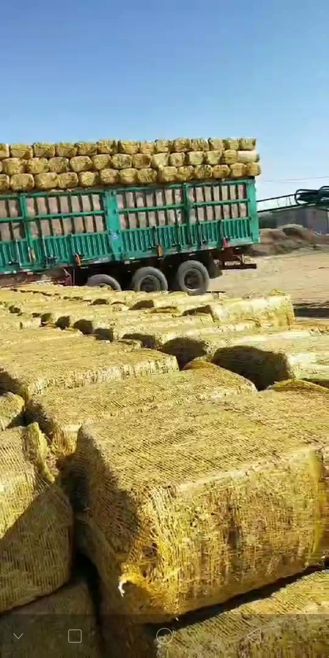 禾谷饲料 二次加工柔丝玉米秸秆无土无膜非常干净