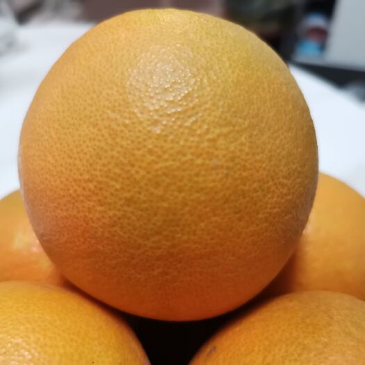 龙南市赣南脐橙，不打腊不打甜人工除草