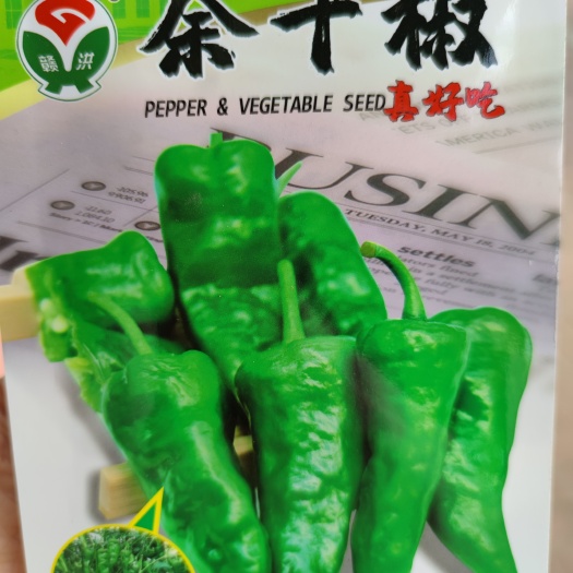 余干辣椒种子枫树辣椒种子丰收辣椒种子，皮薄、肉质细嫩，口感鲜
