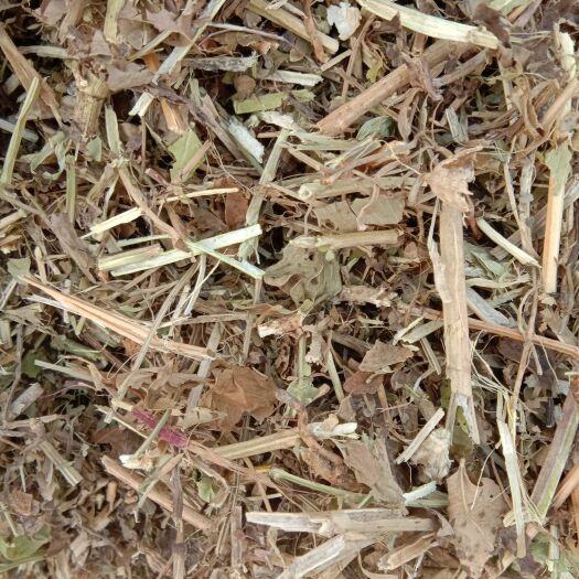 正阳县 牛，羊草花生秧