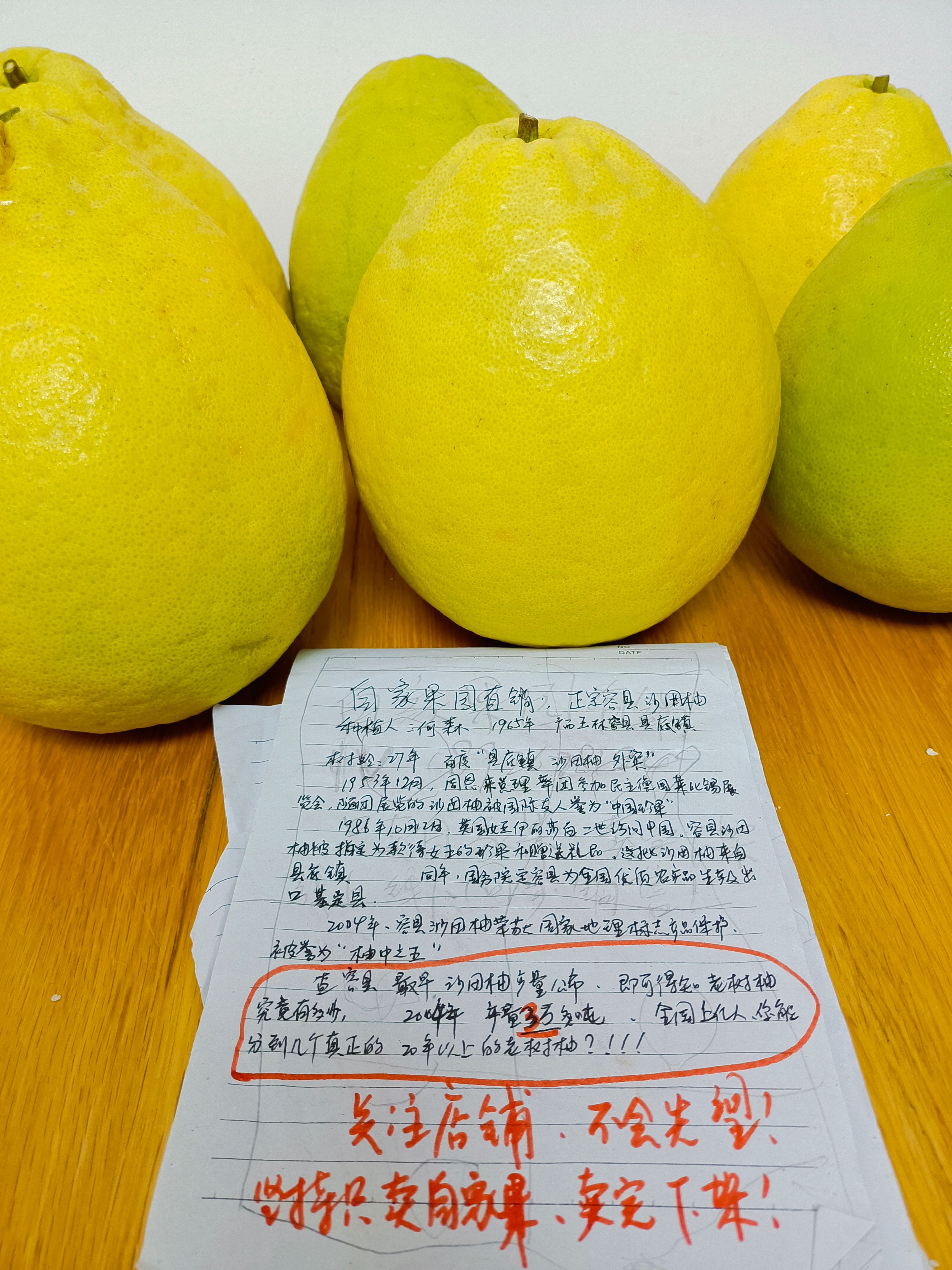 广西玉林容县沙田柚贡品级别自产自销!