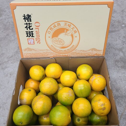 昆明褚橙花斑果褚时健橙子褚橙纯甜冰糖橙