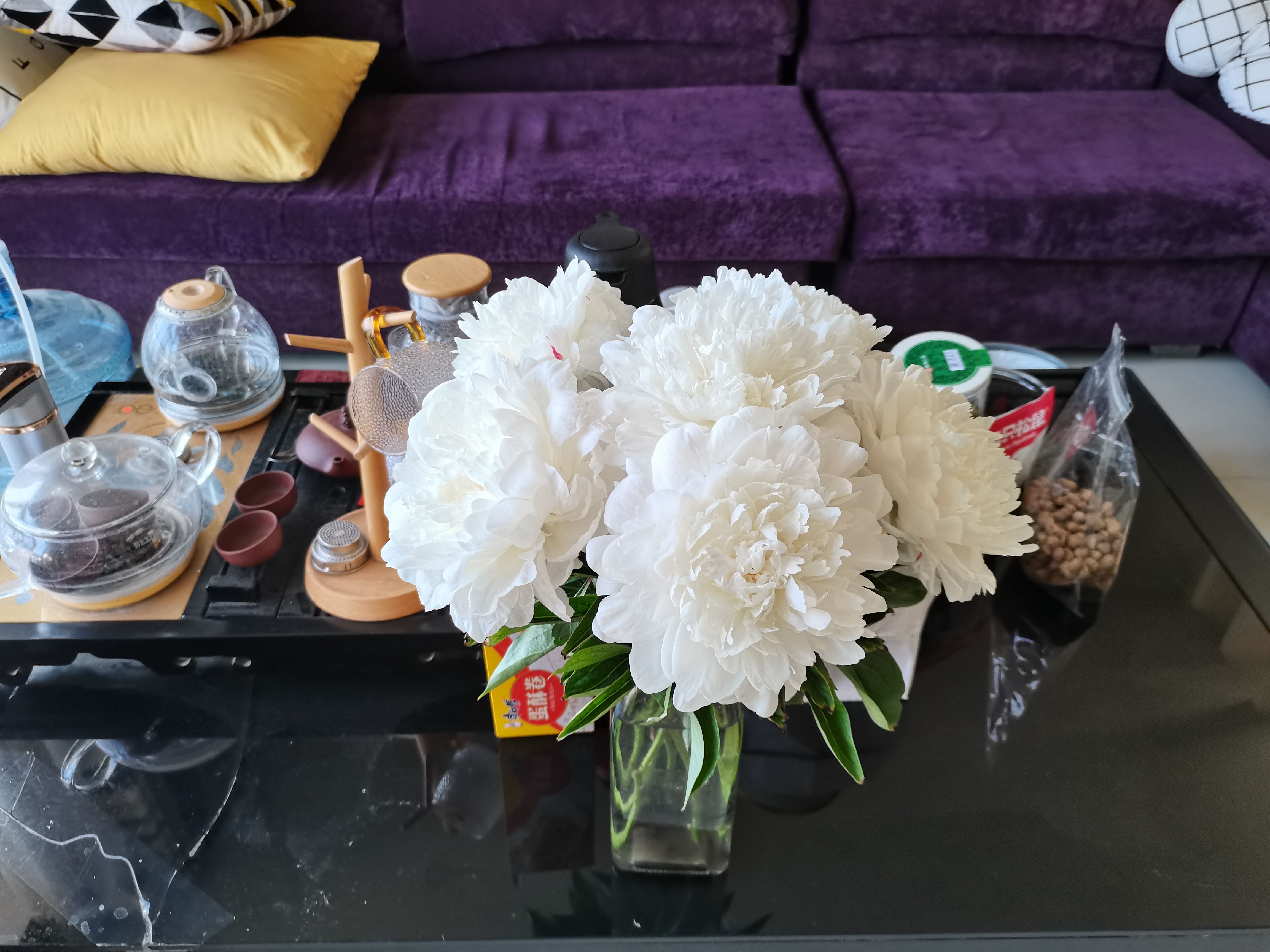 美丽芍药  菏泽正宗国内观赏芍药给～杨妃出浴