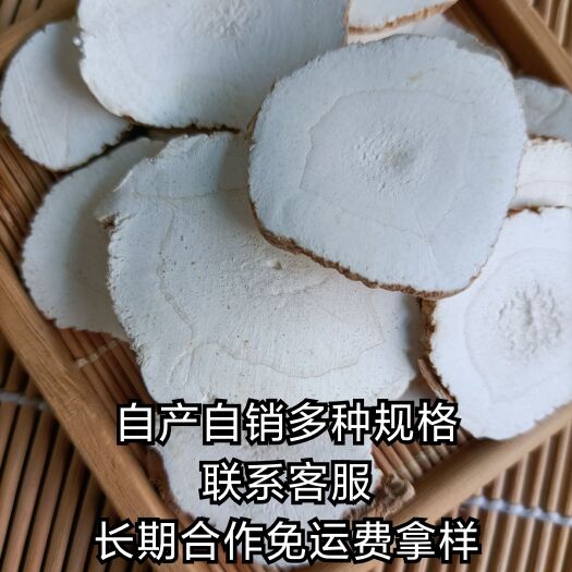 亳州白芷白芷片多种规格产地加工自产自销价格优