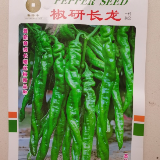 郑州螺丝椒种子早熟杂交大果膨果快耐低温结果多椒研长龙华为种业