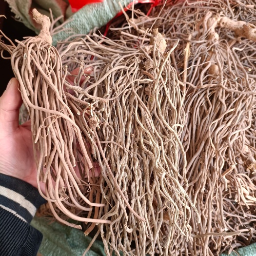 邵东市 威灵仙粉灵仙批发