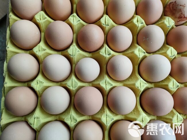 湖北武汉土鸡蛋 大码 双色 农五 农二 深粉 9—10个一斤