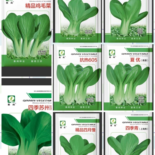 西安上海青种子 小油菜种子鸡毛菜四季青红明清抗热605上海青小青菜种