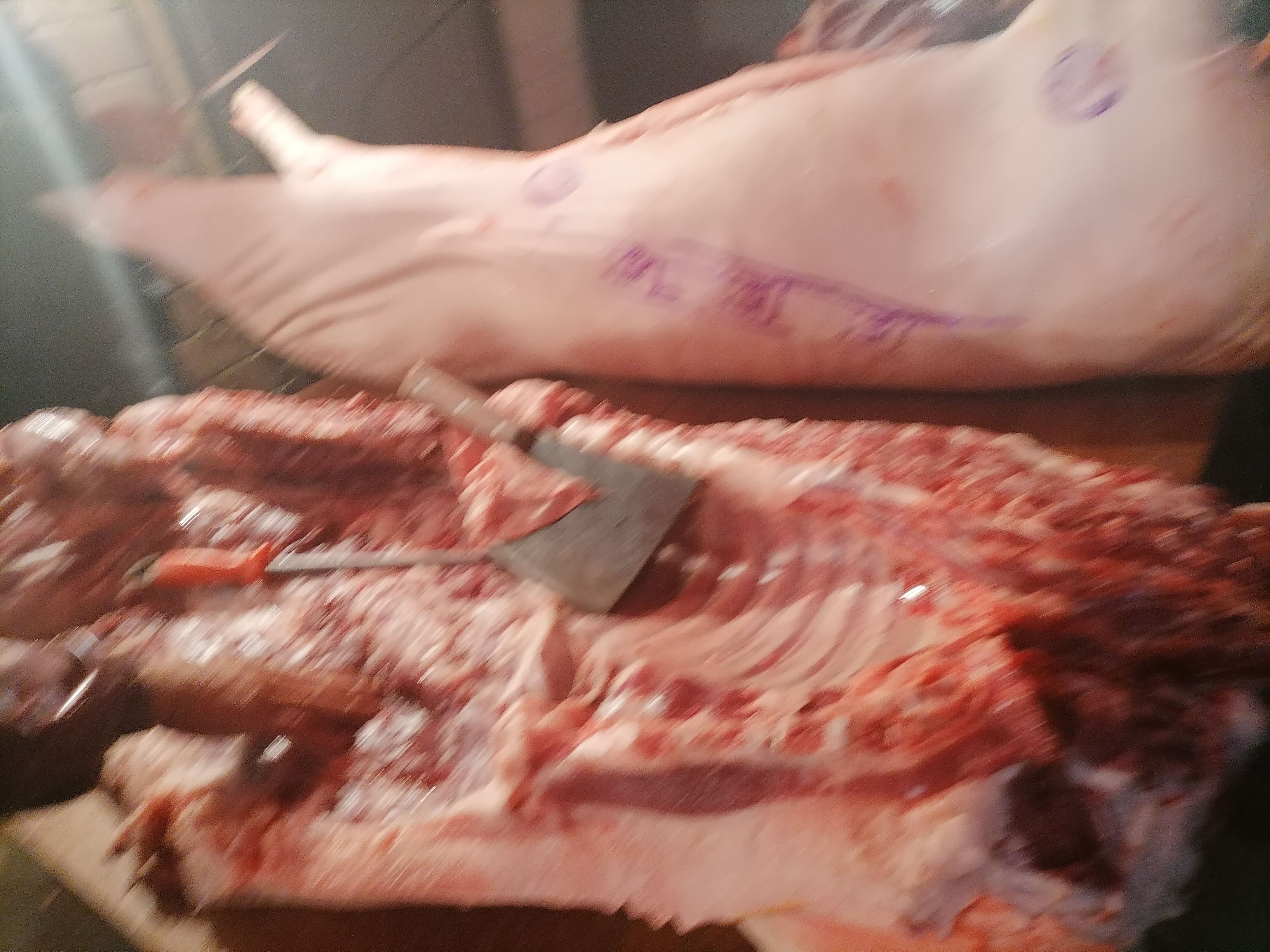 整头猪 猪了一切