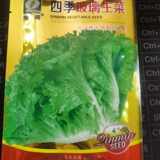 西安 大速生菜种子四季播大速生生菜籽玻璃生菜阳台种菜种籽盆栽菜籽孑