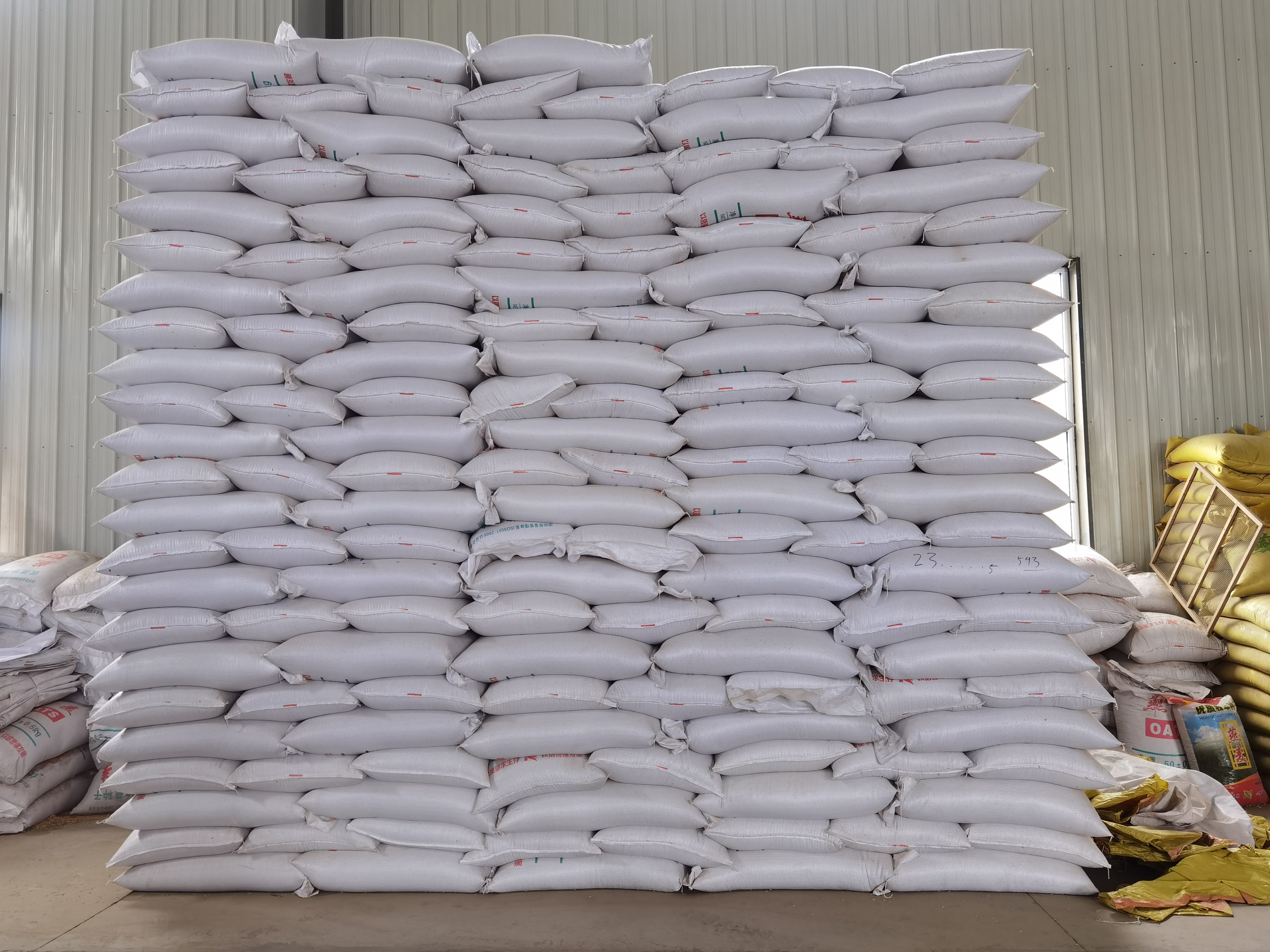 披碱草种子牧草种植草原修复植被补种抗寒抗旱饲草种子大量供应